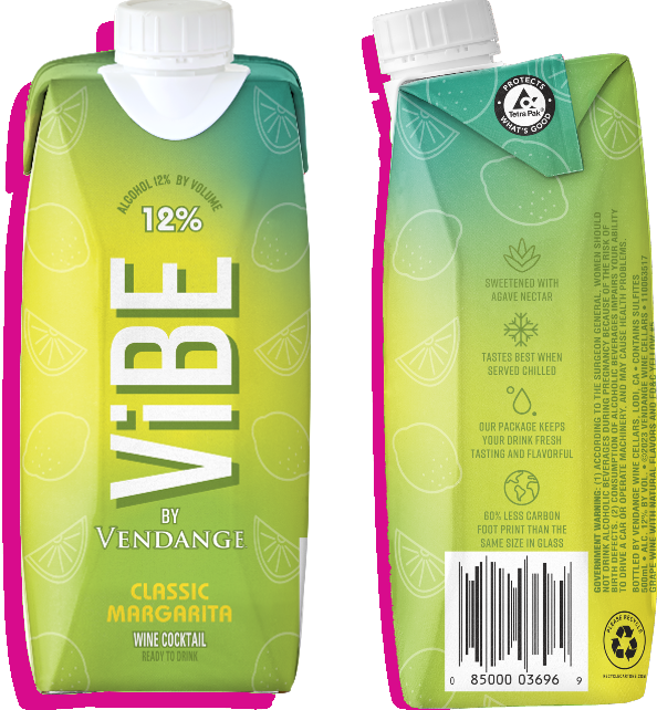 ViBE Image