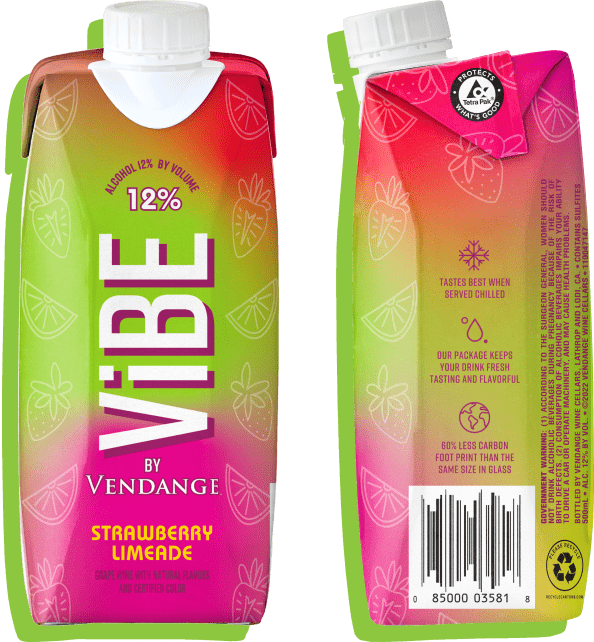 ViBE Image